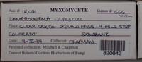 Image Associated With the Occurence